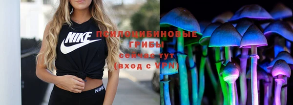 ALPHA PVP Куйбышев