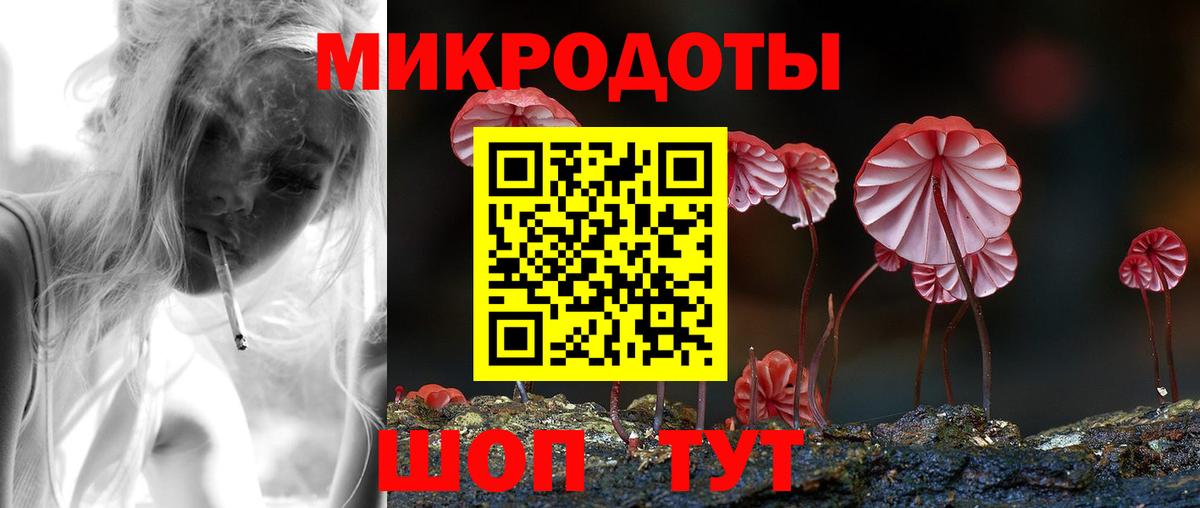 Галлюциногенные грибы Psilocybe Усть-Джегута